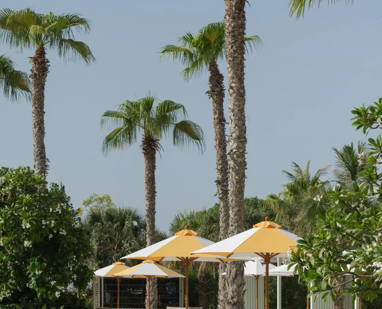 Delano Dubai At Bluewaters Hotel