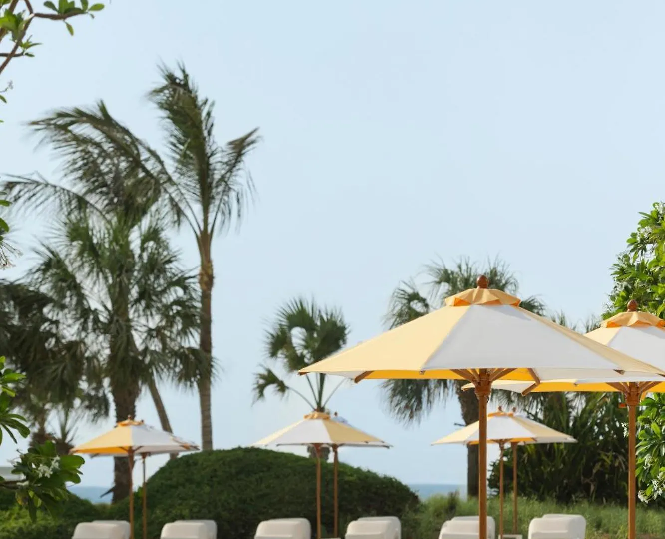 Resort Delano Dubai At Bluewaters Otel