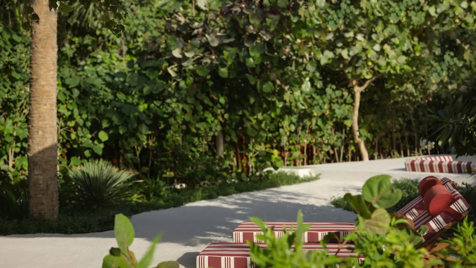 ***** Ośrodek wypoczynkowy Hotel Delano Dubai At Bluewaters Zjednoczone Emiraty Arabskie